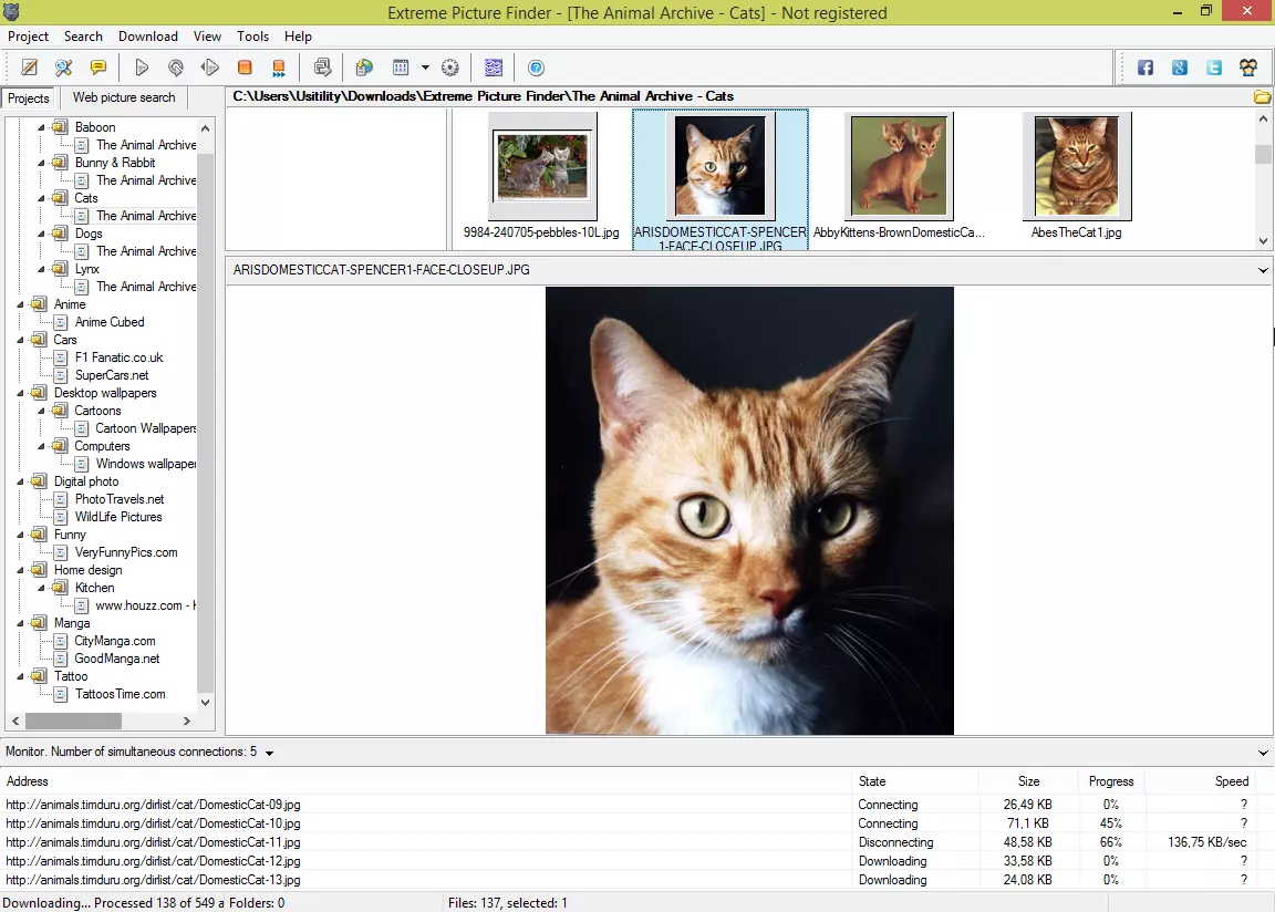 screenshot-extreme-picture-finder-0.webp