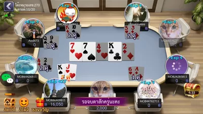 Lion Casino screenshot 3