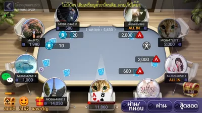 Lion Casino screenshot 9