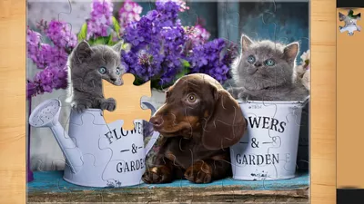 Magic Jigsaw Puzzles screenshot
