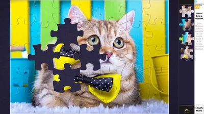 Magic Jigsaw Puzzles screenshot 19