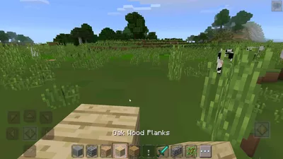 MasterCraft screenshot 11