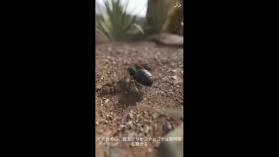 ザ・アンツ：アンダーグラウンド キングダム screenshot